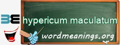 WordMeaning blackboard for hypericum maculatum